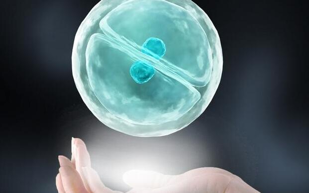 泰国试管婴儿成功秘诀大公开！这几个要点你必须掌握（附2024最新生殖排行榜详情）