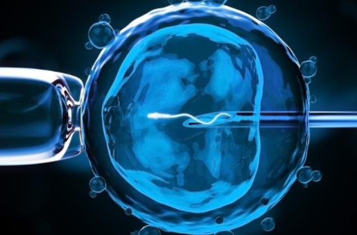 2024泰国第三代试管婴儿费用大揭秘：一文带你算清所有开销！（附三代试管价格明细表）